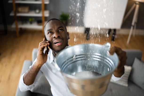 Best Mold removal after water damage  in Coffeyville, KS