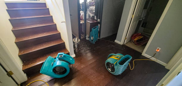 Best Carpet water damage restoration  in Coffeyville, KS