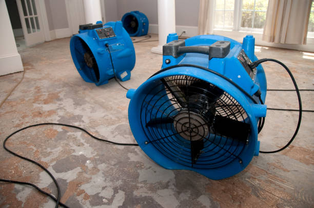 Best Water damage restoration insurance claims  in Coffeyville, KS