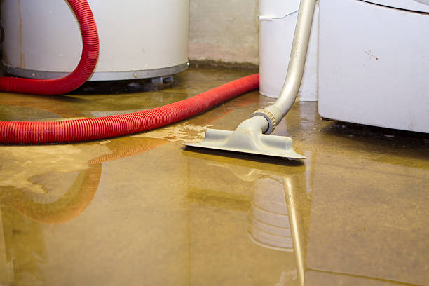 Best Water damage contractors near me  in Coffeyville, KS