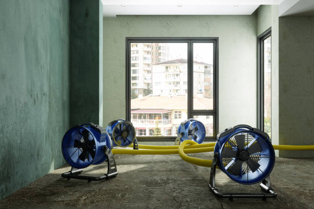 Best Basement water damage restoration  in Coffeyville, KS